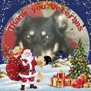 Meet your Posher, Jodi